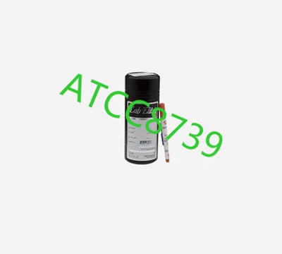 ATCC8739大肠埃希菌-C3